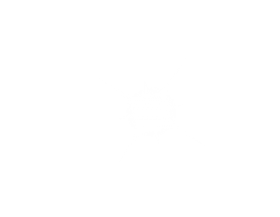 20240422115215_5105 20240422115215_5105