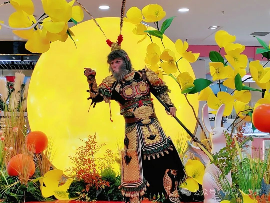 20241012151355_5280 20241012151355_5280