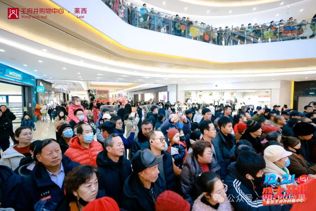 20241223095222_0777