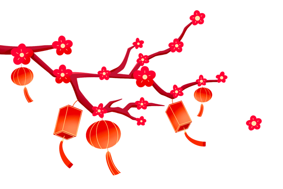 20250120115156_4426 20250120115156_4426