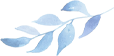 20250321095953_0605 20250321095953_0605