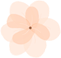 20250321164106_7583 20250321164106_7583