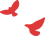 20250425162158_8175 20250425162158_8175