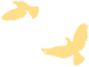 20250530155909_5074 20250530155909_5074
