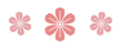 20250704151909_3261 20250704151909_3261