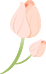 20250725102930_9856 20250725102930_9856