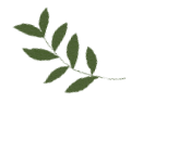 20250725113146_0459 20250725113146_0459