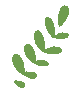 20250925151807_6131 20250925151807_6131