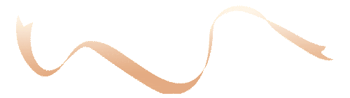 20260228133330_6971 20260228133330_6971