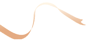 20260228133332_4409 20260228133332_4409
