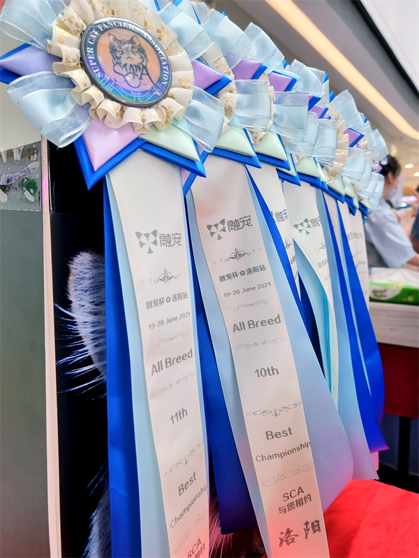EWC�羺���籭(�й���)���޹�˾-�ٷ���վ